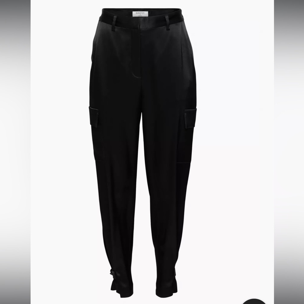 Aritzia Babaton Silky Refined Cargo Pants - Picture 5 of 5